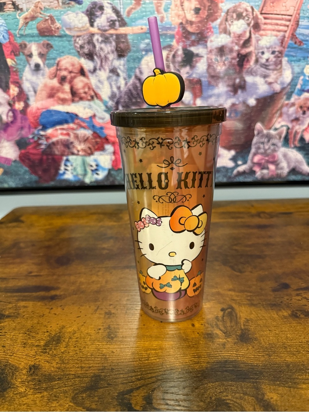 Sanrio Hello Kitty Halloween Pumpkin 20oz Acrylic Tumbler
